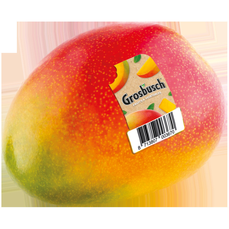 MANGUE GROSBUSCH 8PCS